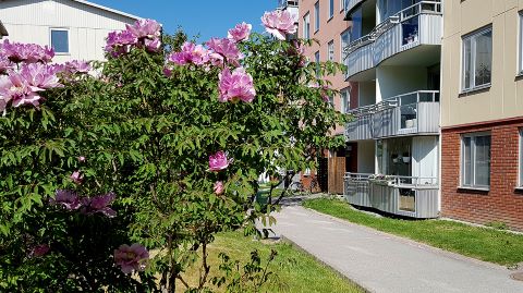 bilder Brf Sjötungan